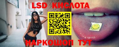 спиды Кингисепп