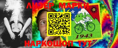 спиды Кингисепп