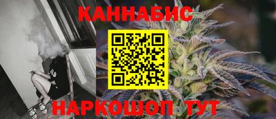 спиды Кингисепп