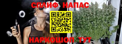 спиды Кингисепп