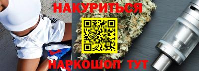 спиды Кингисепп