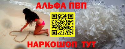 спиды Кингисепп