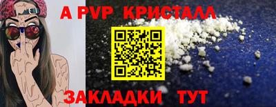 спиды Кингисепп