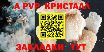 спиды Кингисепп