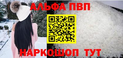 спиды Кингисепп